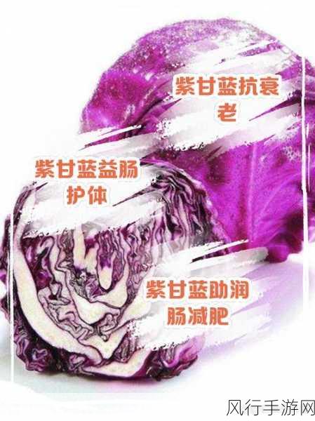 紫甘蓝与菠菜，生吃谁更佳？