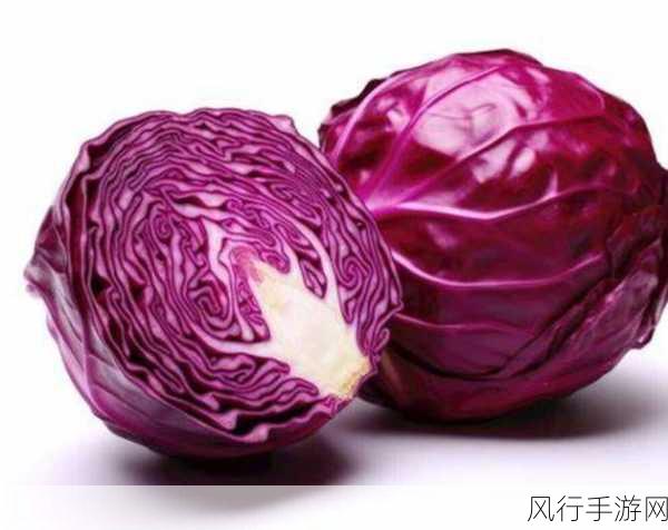 紫甘蓝与菠菜,生吃谁更佳?