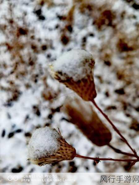 探索 DNF 雪景连绵的小雪属性之谜