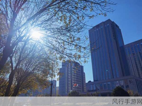 按在落地玻璃窗前c-在落地玻璃窗前，感受阳光与城市的交汇瞬间