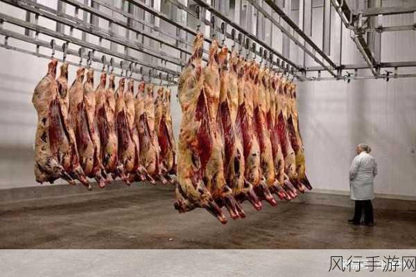 探秘蚂蚁庄园,排酸肉与普通鲜肉的差异之谜