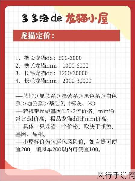 龙猫并非猫，宠物龙猫的真实身份揭秘