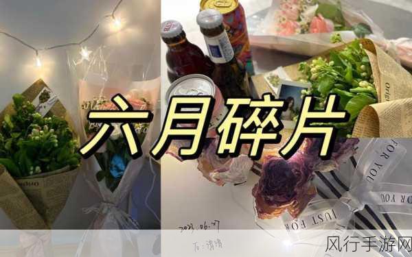 六月天中文日产暮无限码-六月天的美丽日落，尽享无尽浪漫时光。