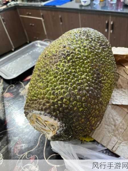 菠萝菠萝菠萝蜜免费在线-“畅享菠萝蜜的美味世界，尽情探索免费在线资源！”
