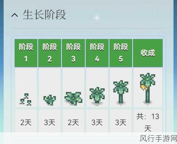 星露谷物语，农业技能加速效果深度剖析