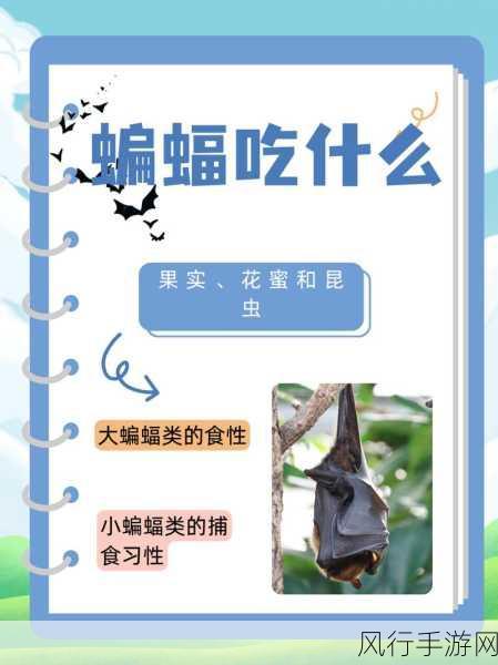 揭秘蝙蝠的视觉之谜