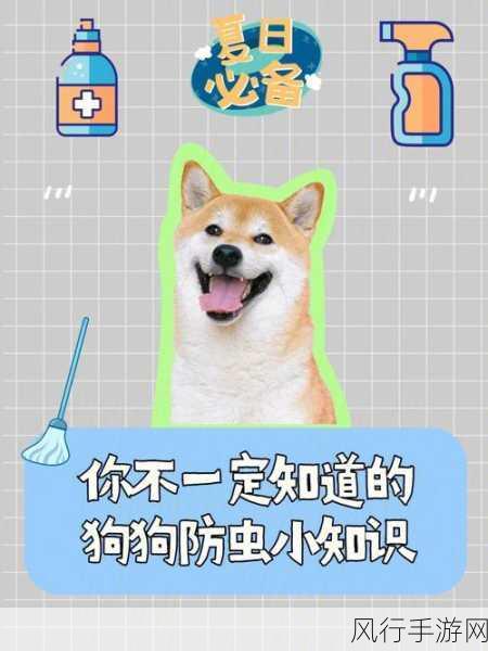 小森生活储虫箱，高效管理与利用昆虫资源的秘诀