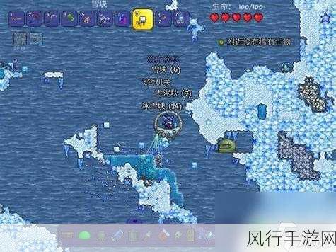泰拉瑞亚深度攻略,解锁全物品获取秘籍的财经视角