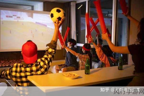 激情燃烧的 11 月 29 日世界杯赛场