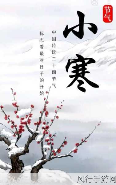 2023 小寒，绝美画卷为您呈现