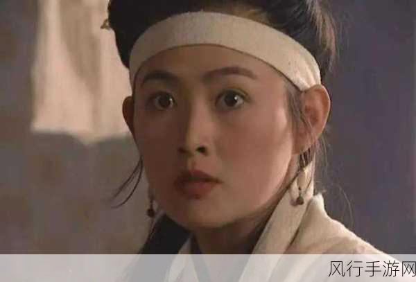 潘金莲的黄色网站-潘金莲传奇：古典美人与现代情色的碰撞