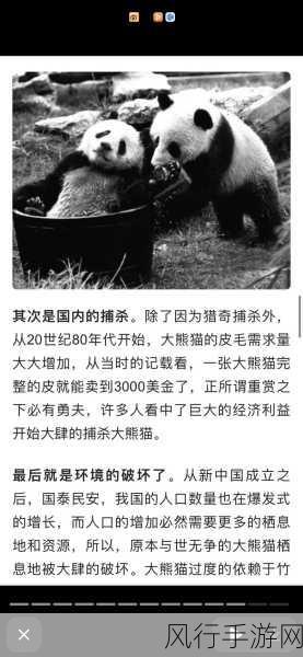 探寻活化石之称的野生动物——大熊猫
