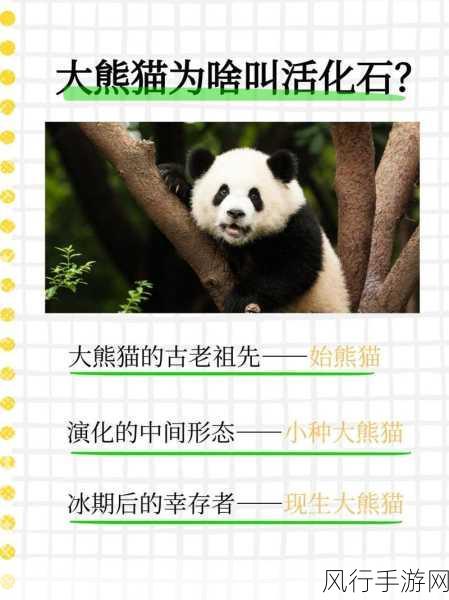 探寻活化石之称的野生动物——大熊猫