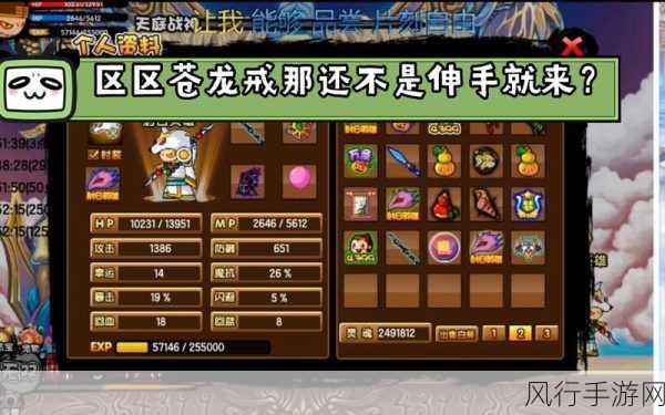 造梦西游3苍龙戒爆取攻略，解锁财富与战力的双重密钥