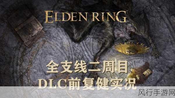 艾尔登法环热门玩法揭秘，陨石术与米莉森支线背后的经济效应