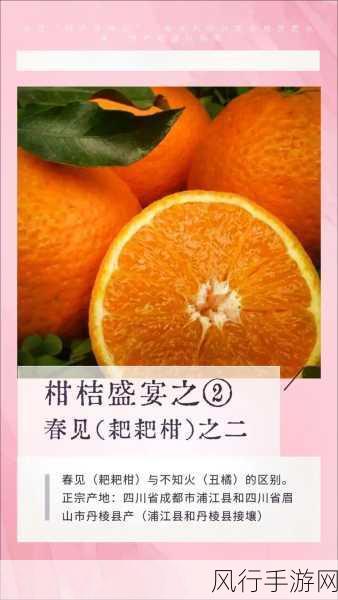 丑橘和耙耙柑，傻傻分不清？