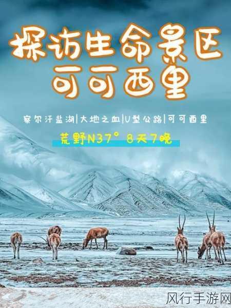 无人区码卡二卡乱码字幕-探索无人区的神秘旅程：揭开二卡乱码字幕背后的真相