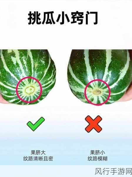国产精品 黑料专区 51吃瓜-探索国产精品新趋势，黑料专区带你吃瓜不停！