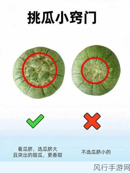 国产精品 黑料专区 51吃瓜-探索国产精品新趋势,黑料专区带你吃瓜不停!