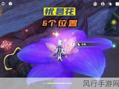 原神经济深度剖析，探寻优昙花的神秘之旅，六大隐藏位置背后的财富密码