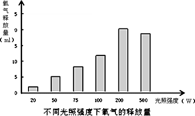 探究一生一世的时间奥秘——蚂蚁庄园 6 月 18 日答案解读