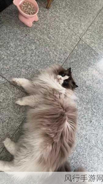 虚拟股市风云，手游公司如何借最强祖师股市秘籍投资致胜？