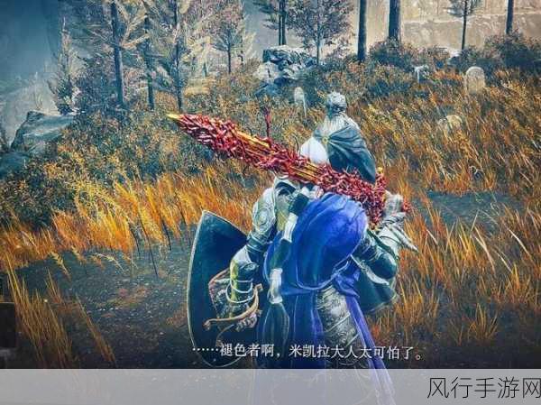 艾尔登法环黄金树幽影，DLC 版本的深度剖析
