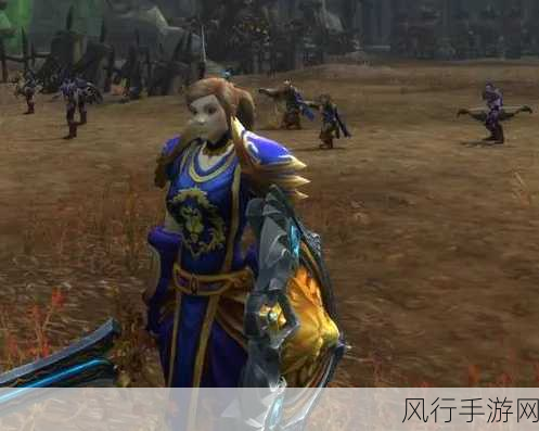 幽暗城战袍-幽暗城战袍：勇者的荣耀与神秘之旅