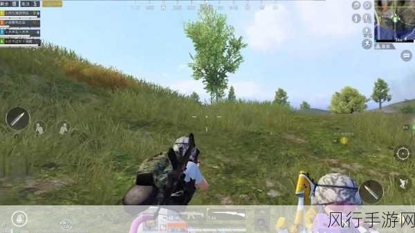 和平精英堵桥穿墙射击BUG，手游公司如何应对与防范