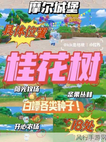 摩尔庄园手游,艾米亲密度提升秘籍,解锁财富与乐趣