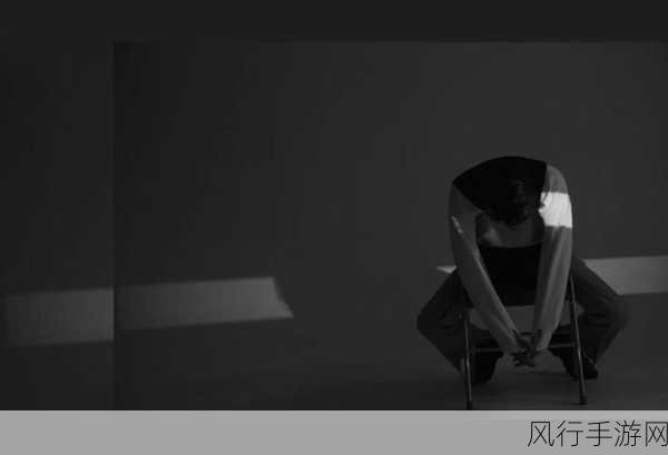 黑社区-探索黑色社区的隐秘世界与其影响力解析