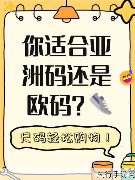 亚洲和欧洲一码二码区别综合-亚洲与欧洲一码、二码的区别及其影响分析