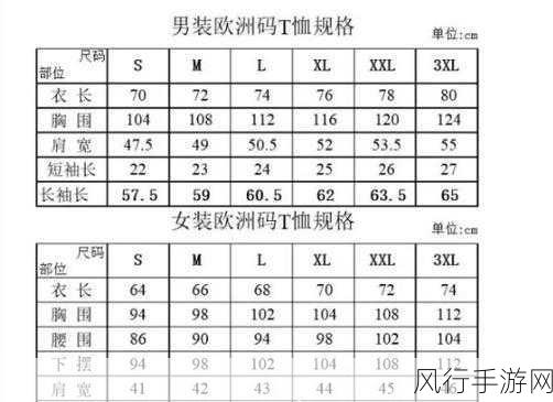 亚洲和欧洲一码二码区别综合-亚洲与欧洲一码、二码的区别及其影响分析