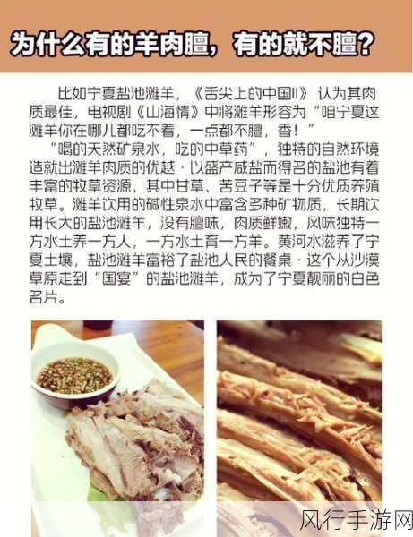 探寻羊肉膻味的源头之谜