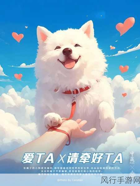 我爱搞-52G：爱搞创意无限，52G带你探索新世界！