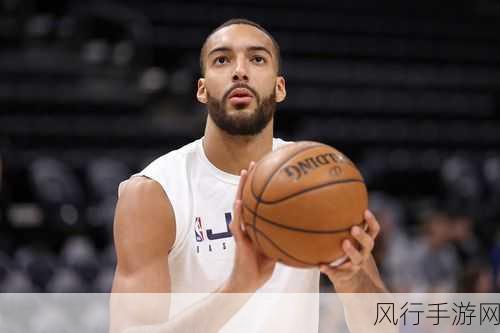 九么免费版网站nba高危病毒：探讨九么免费版网站与NBA相关的高危病毒风险分析