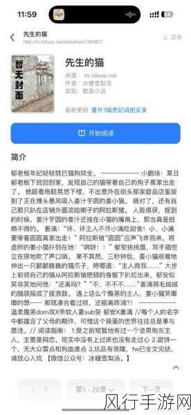 小圈实践狠揍纪实：深度剖析小圈实践的真实挑战与应对策略