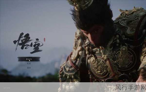黑神话,悟空金身绣衫效能深度解析与市场影响