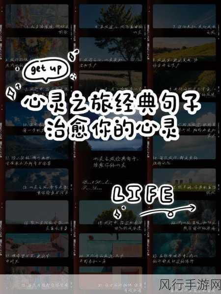 tai9不迷路：探寻无畏之旅，勇敢追梦不迷路的心灵指南