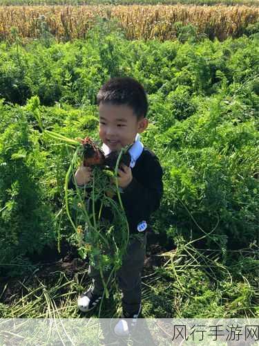 鸣人和小蓝拔萝卜是哪一集：《火影忍者》鸣人与小蓝共同拔萝卜的温馨故事情节解析