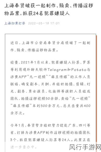 嘛豆传禖网址：拓展嘛豆传禖的全新网址，带你领略更多精彩内容！