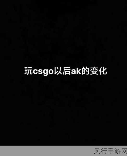 csgo暴躁少女免费：CSGO暴躁少女：激情枪战与青春热血的碰撞