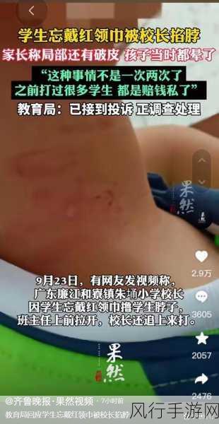 红领巾911爆料网八卦有理：红领巾911爆料网：揭开八卦背后的秘密与真相