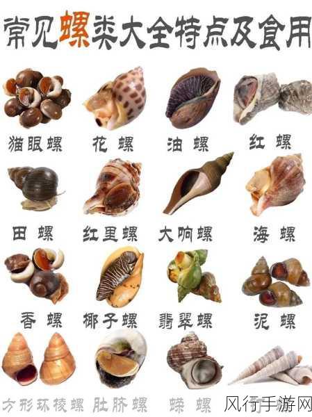 海螺食用的禁区，你了解吗？