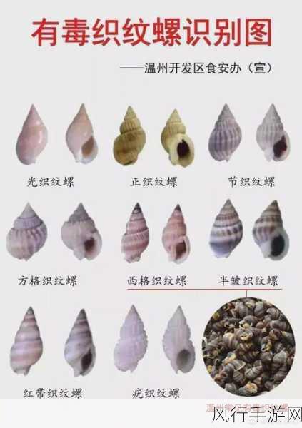 海螺食用的禁区，你了解吗？