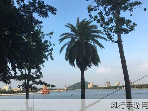 魔兽世界，跨越海峡的游戏之旅——台湾服务器探秘