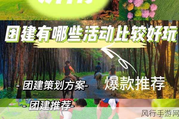 换着玩的快乐：“探索新乐趣：换着玩带来的无尽快乐”