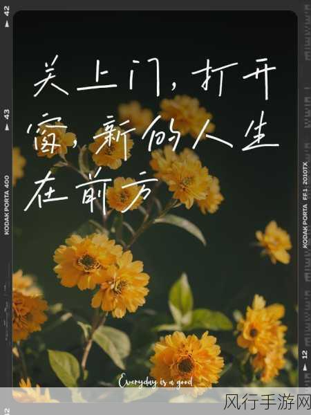 18岁带好纸巾就此转入新世纪：迎接新世纪，18岁带好纸巾开启崭新人生旅程