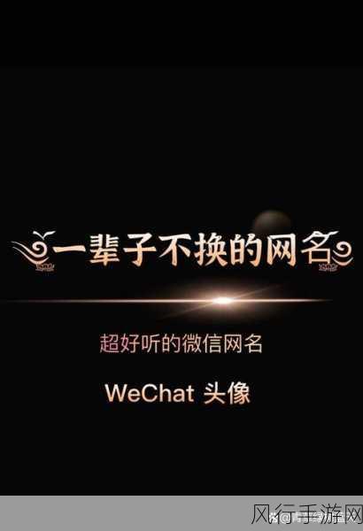 汤姆视频最新地域网名取名技巧：掌握汤姆视频地域网名取名技巧，轻松吸引更多粉丝！