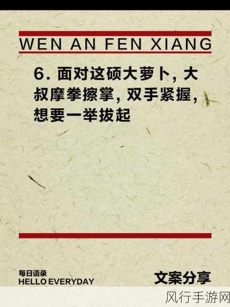 拔萝卜打牌不盖被：拔萝卜、打牌不盖被：生活中的趣味小插曲